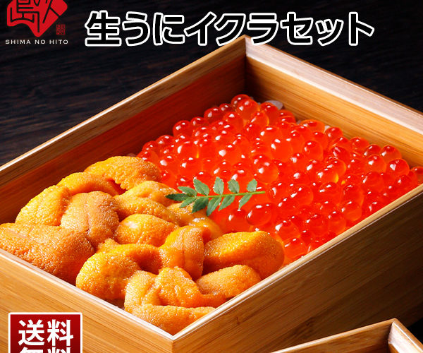 \1,080円OFFクーポン付き/うに 北海道産 無添加 生エゾバフンウニ 90g+昆布だしイクラ 60g【送料無料】塩水うに 獲れたてをお届けグルメ ギフト 誕生日プレゼント 食品 寿司 贈り物 お土産 海鮮 お取り寄せ