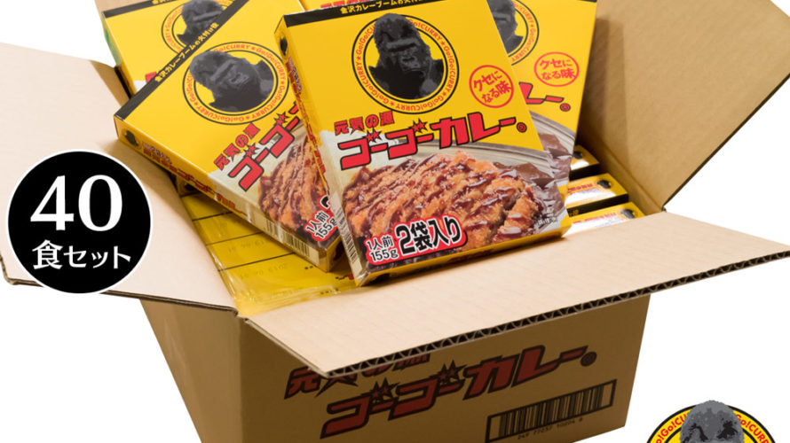 【7/31 20:00〜8/10 11:59 10%OFFクーポン対象!】 ゴーゴーカレー 中辛 40食 セット まとめ買い 送料無料 レトルトカレー カレー 詰め合わせ ご当地 高級 常温保存 食品