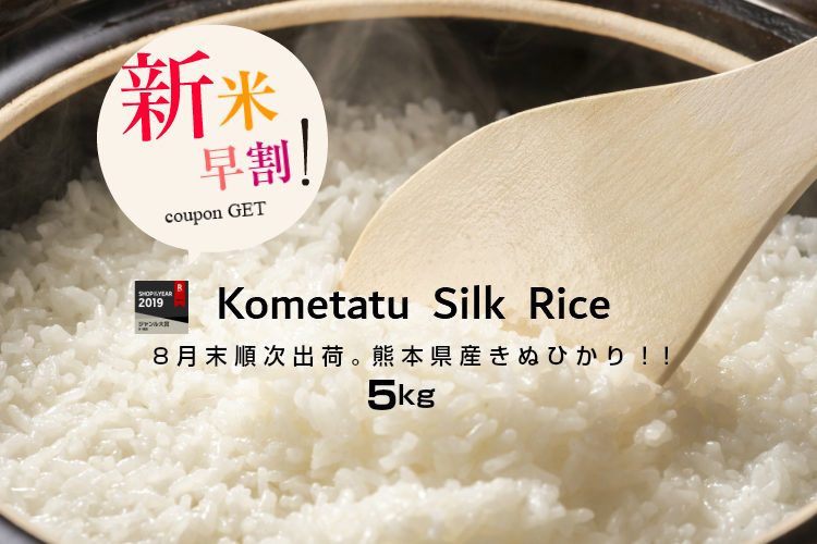 【新米予約】【クーポンで2,180円!】【令和2年産】熊本県産キヌヒカリ白米5kg【米 5kg 送料無料】【お米 5kg 送料無料】米/お米/コメ【きぬひかり】【熊本県産】2年